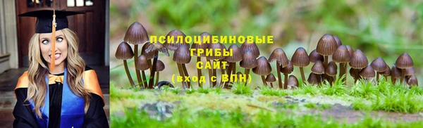 mdpv Елизово