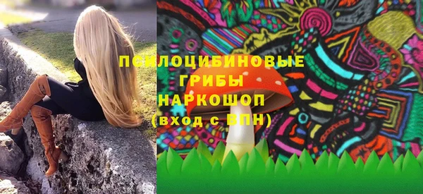 mdpv Елизово