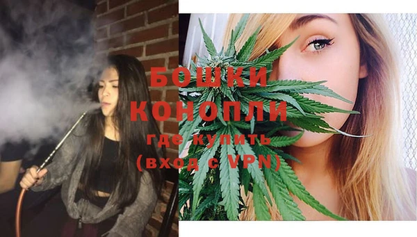 трава Корсаков