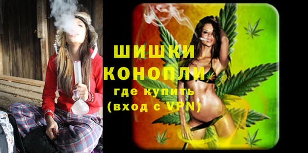 ПСИЛОЦИБИНОВЫЕ ГРИБЫ Коряжма