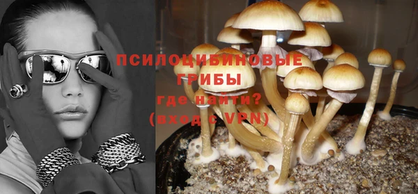 mdpv Елизово